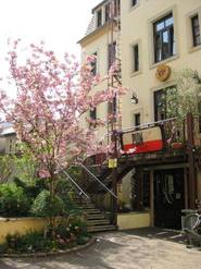 Hostel Louise 20, Dresden Hostel Louise 20, Dresden