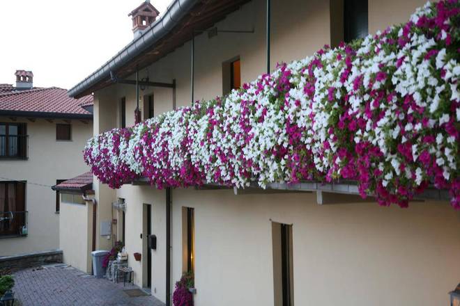 Locanda dell'Oca Bianca, Como